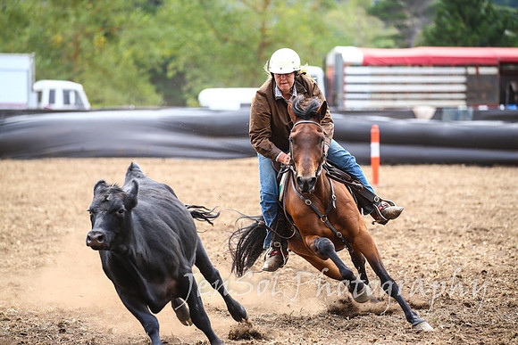 NimmitabelCampdraft2017_2730