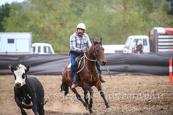NimmitabelCampdraft2017_2622