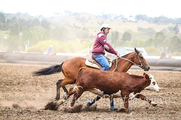 NimmitabelCampdraft2017_2561