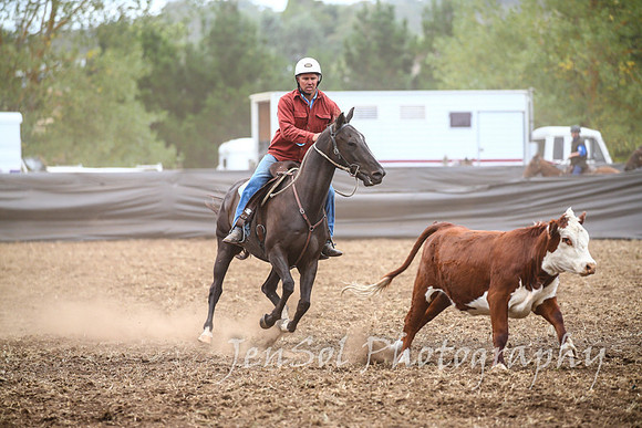 NimmitabelCampdraft2017_2531