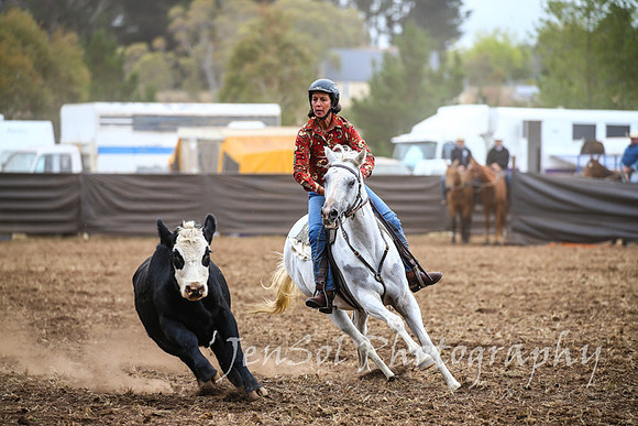 NimmitabelCampdraft2017_2293