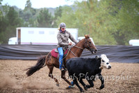NimmitabelCampdraft2017_2201