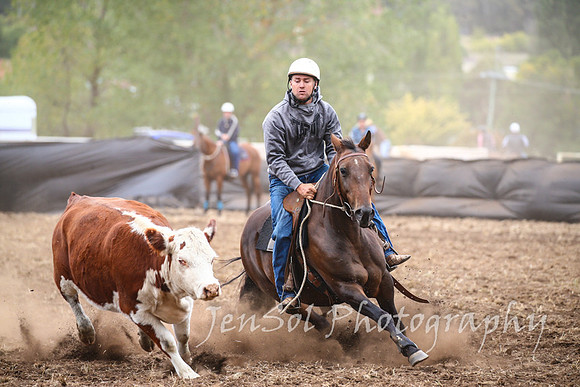 NimmitabelCampdraft2017_2407