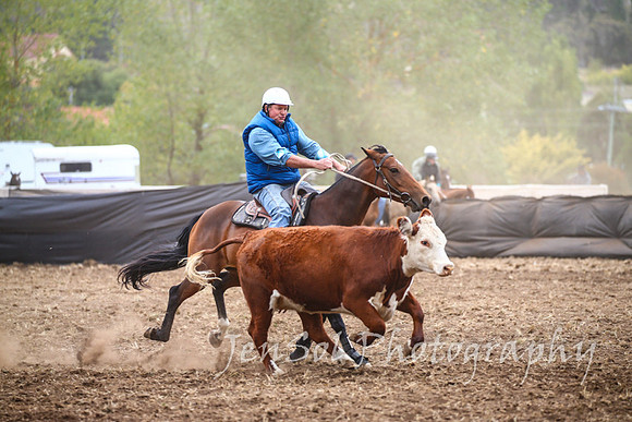 NimmitabelCampdraft2017_2318