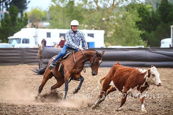 NimmitabelCampdraft2017_2706