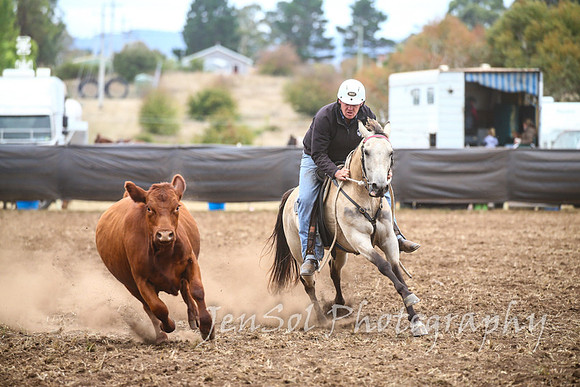 NimmitabelCampdraft2017_2415