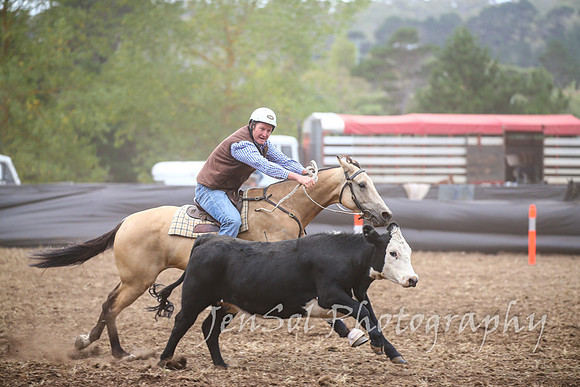 NimmitabelCampdraft2017_2481