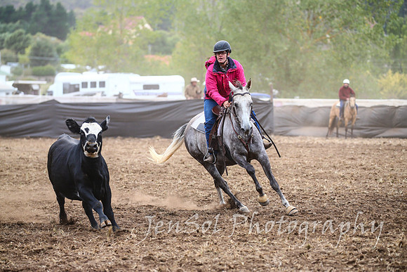 NimmitabelCampdraft2017_2163