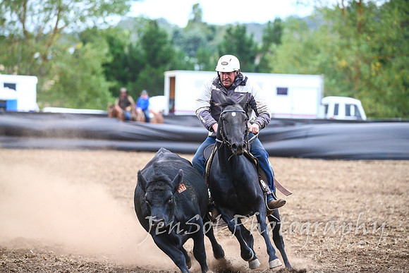 NimmitabelCampdraft2017_3752