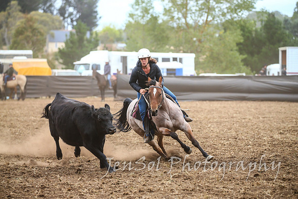 NimmitabelCampdraft2017_2436