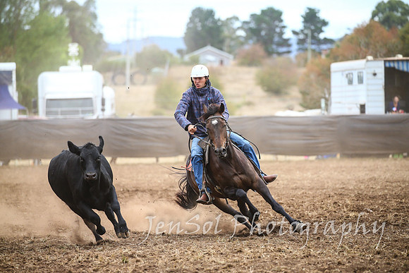 NimmitabelCampdraft2017_2630