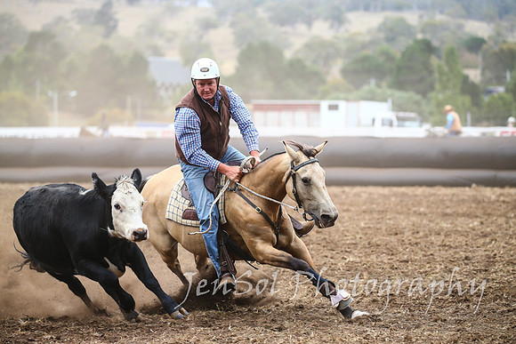 NimmitabelCampdraft2017_2490