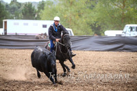 NimmitabelCampdraft2017_2224
