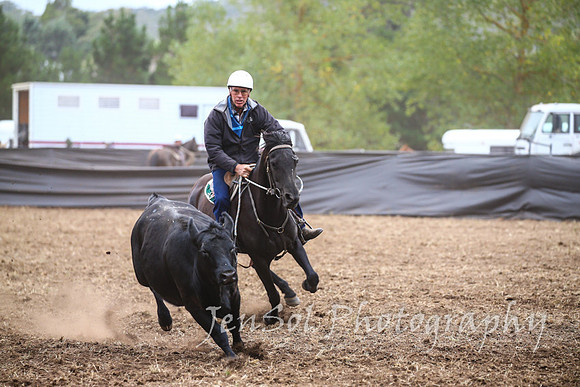 NimmitabelCampdraft2017_2224