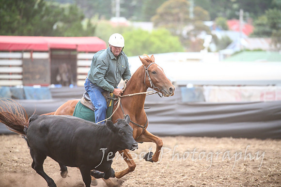 NimmitabelCampdraft2017_3265