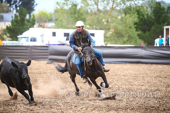 NimmitabelCampdraft2017_3284