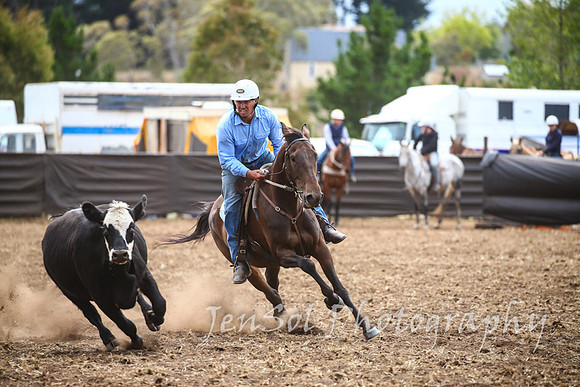 NimmitabelCampdraft2017_2741