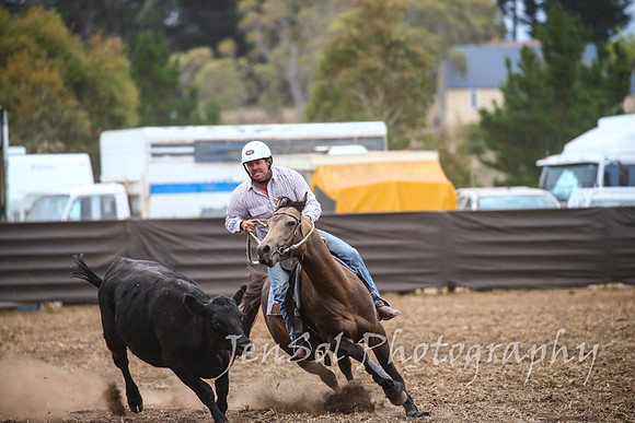 NimmitabelCampdraft2017_2697