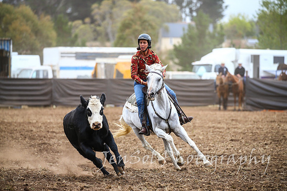 NimmitabelCampdraft2017_2297