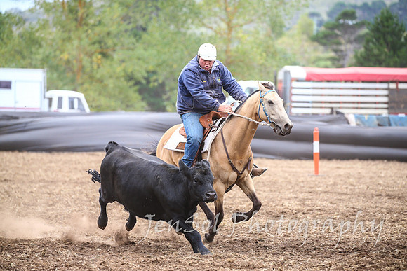 NimmitabelCampdraft2017_3249