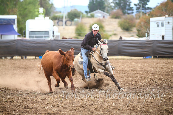 NimmitabelCampdraft2017_2422