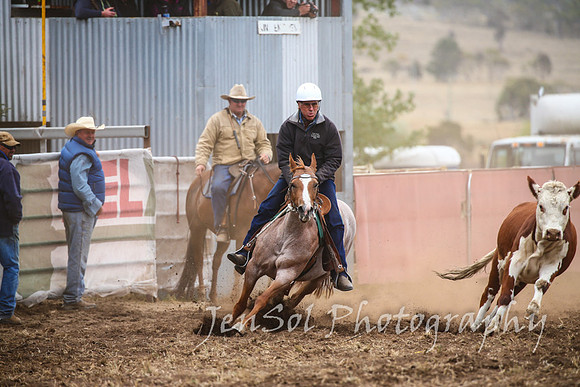 NimmitabelCampdraft2017_3135