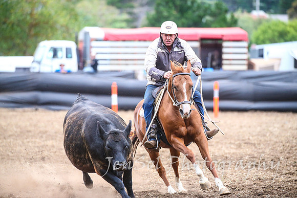 NimmitabelCampdraft2017_3677