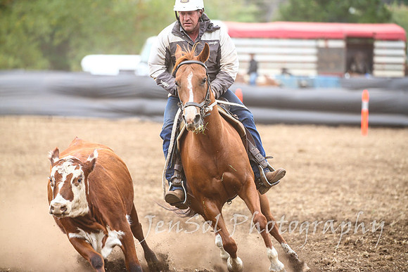 NimmitabelCampdraft2017_3332