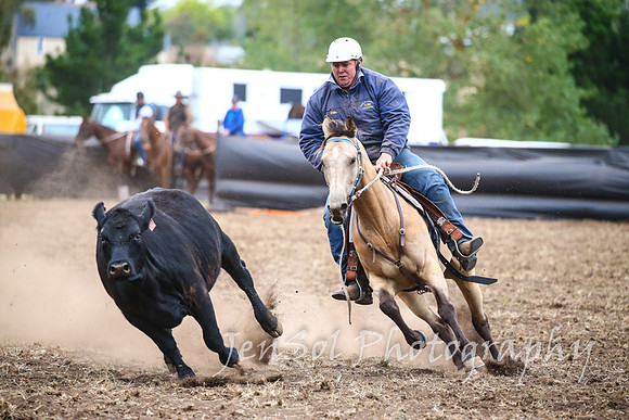 NimmitabelCampdraft2017_3706