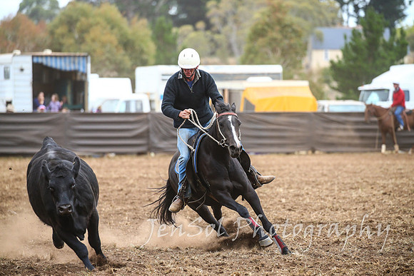 NimmitabelCampdraft2017_2663