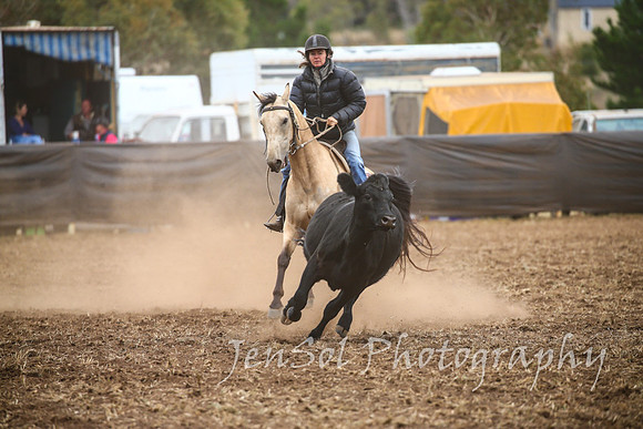 NimmitabelCampdraft2017_2616