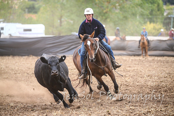 NimmitabelCampdraft2017_2381