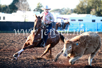 CCCampdraft2016_1121