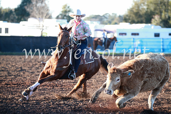 CCCampdraft2016_1121