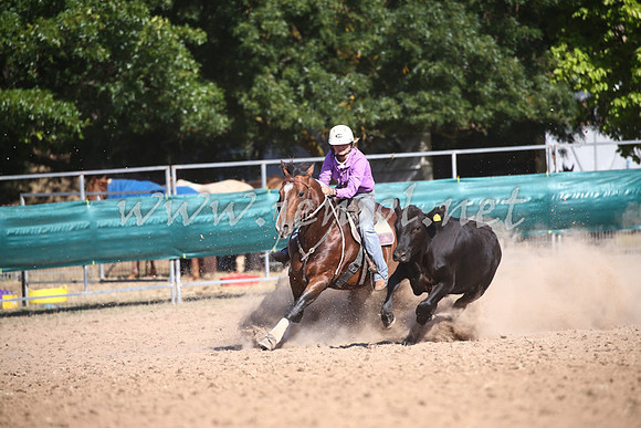 TaralgaCampdraftThurs2017_1477