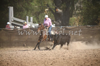 Novice