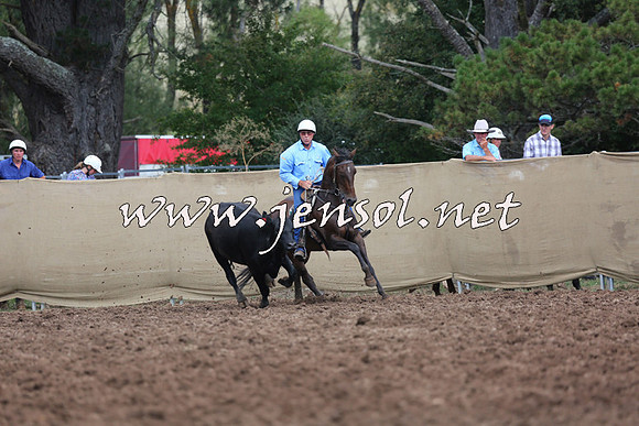 TaralgaCampdraftSat_0258