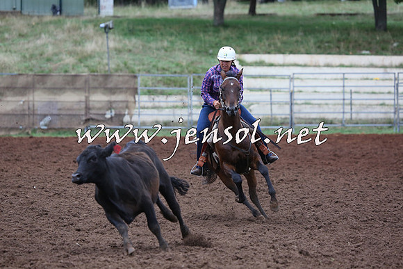 TaralgaCampdraftSun_0692