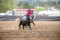 NimmitabelCampdraft2017_2158