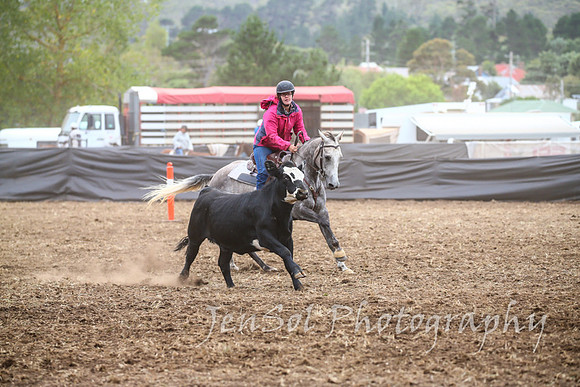 NimmitabelCampdraft2017_2158