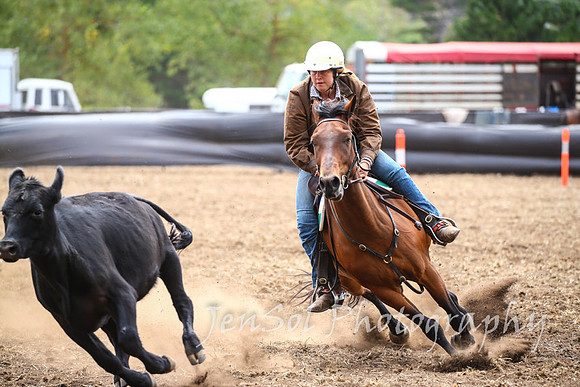 NimmitabelCampdraft2017_2726