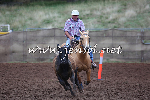 TaralgaCampdraftSun_0687