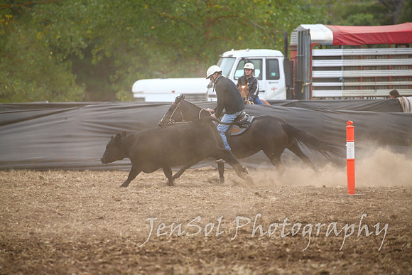 NimmitabelCampdraft2017_2670