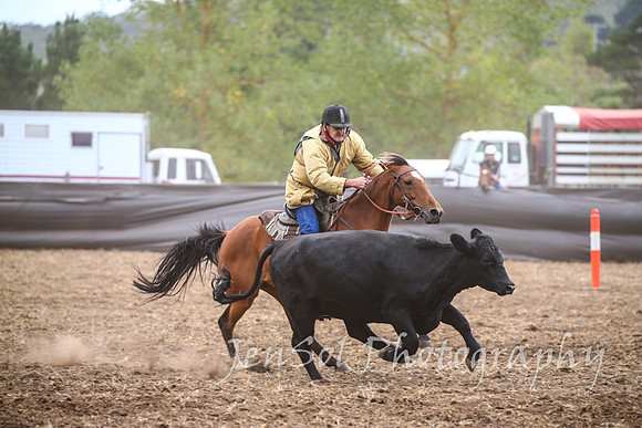 NimmitabelCampdraft2017_2643
