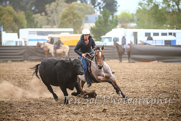 NimmitabelCampdraft2017_2447