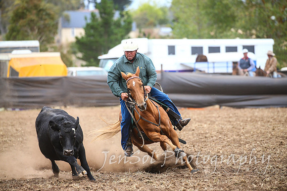 NimmitabelCampdraft2017_2686