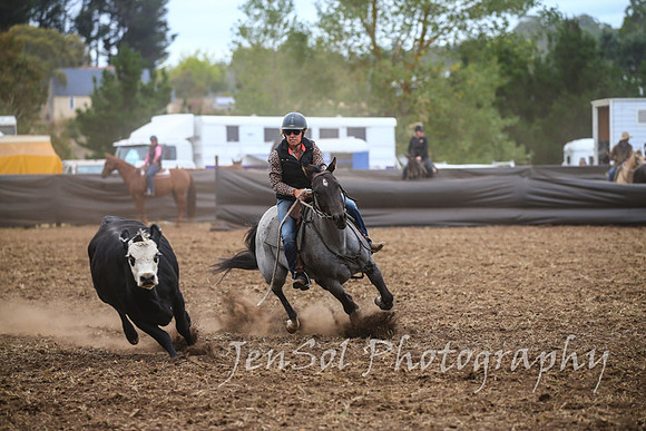 NimmitabelCampdraft2017_2602