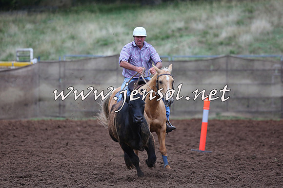 TaralgaCampdraftSun_0688