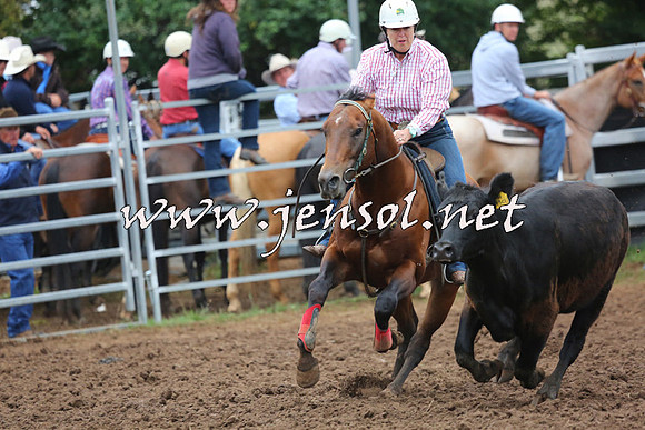 TaralgaCampdraftSun_0658