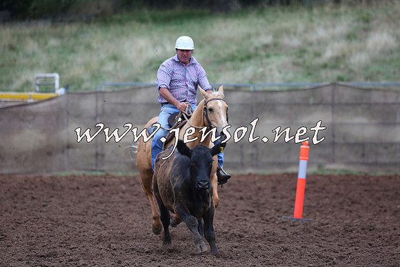 TaralgaCampdraftSun_0684